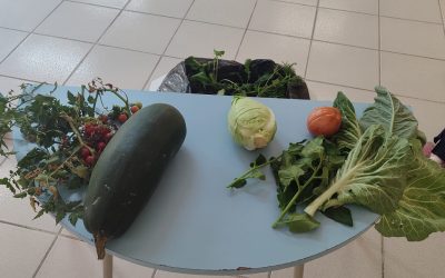 Dia Mundial da Alimentação