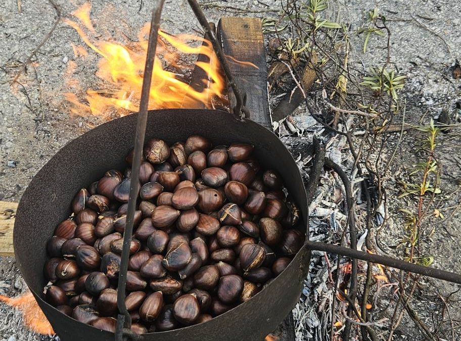 Dia de São Martinho